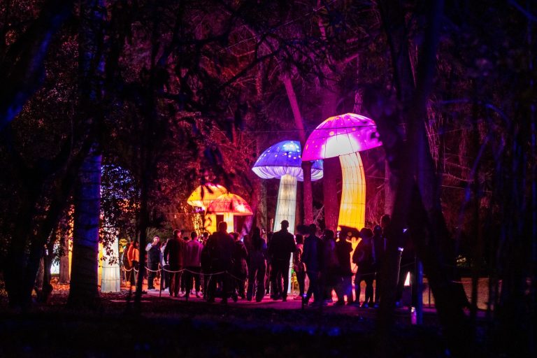 Aprovecha las últimas dos semanas del festival de luces MajestuOsos en el Jardín Botánico de Bogotá